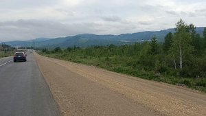 медведь съел водителя в забайкалье