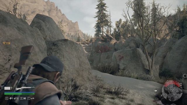 Прохождение: Days Gone. Часть 7