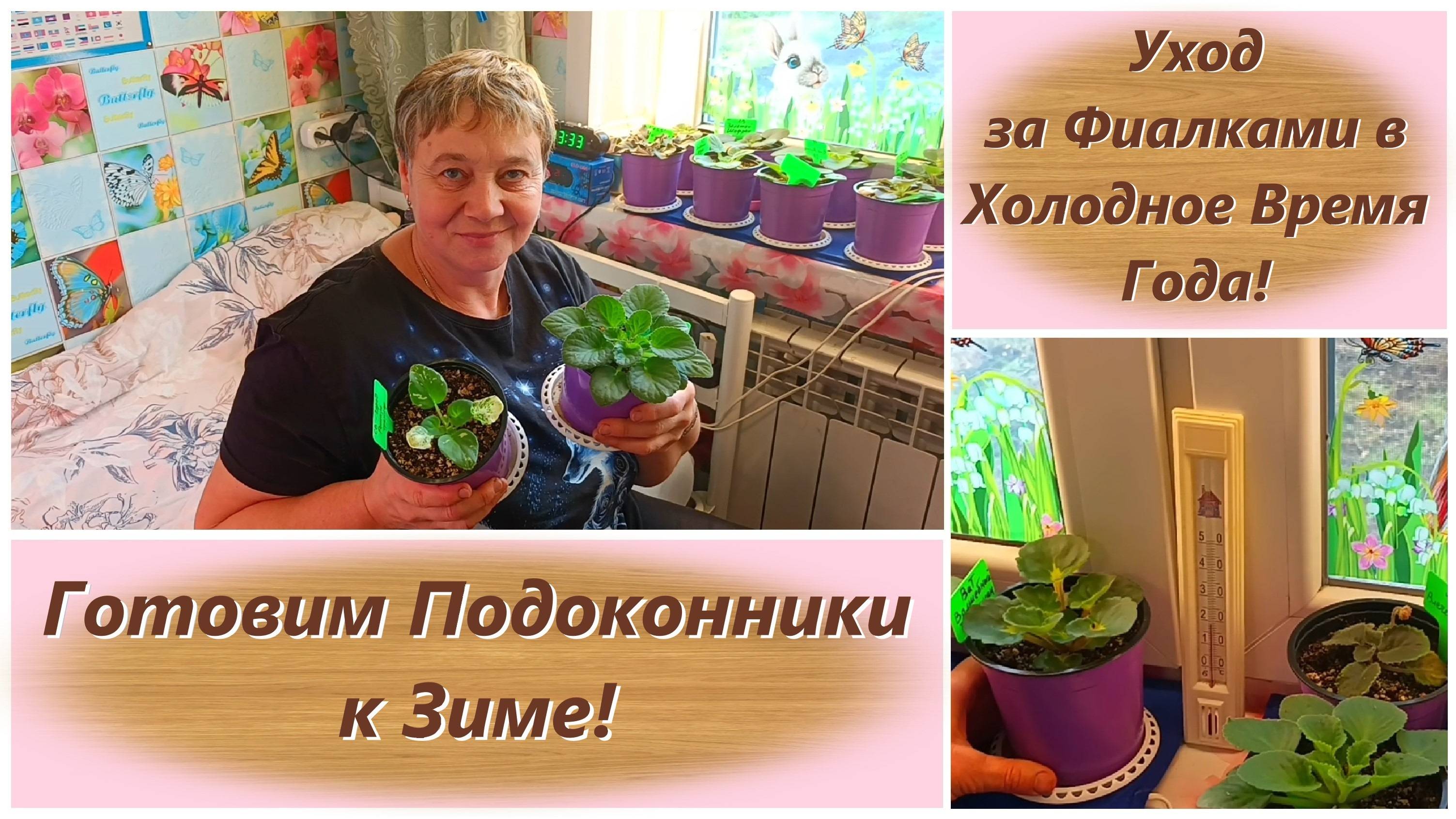 Уход за Фиалками в Холодное Время Года! Готовим Подоконники к Зиме!
