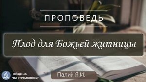 Плод для Божьей житницы | Христианские проповеди АСД | Палий Ярослав Иванович