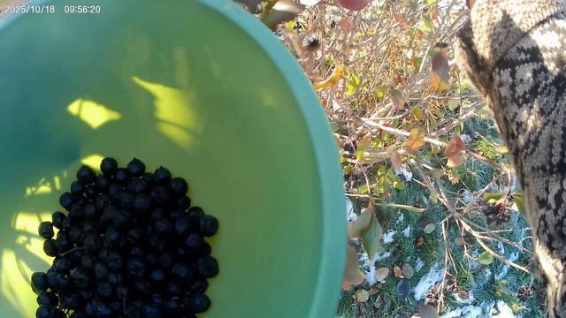 Совмещаю полезное с приятным.