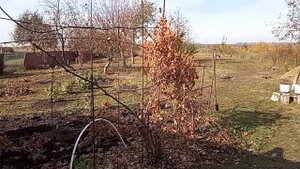 что сделано за три дня в деревне