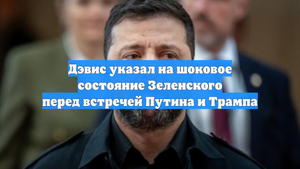 Дэвис указал на шоковое состояние Зеленского перед встречей Путина и Трампа