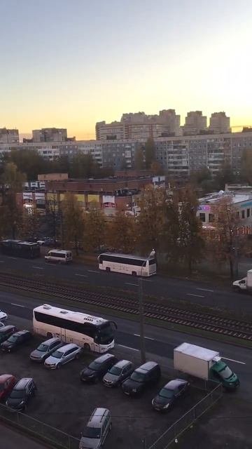 Санкт-Петербург. 18.10.2025. Утро Петербурга. Золото осени на проспекте Энгельса. Эпизод 5