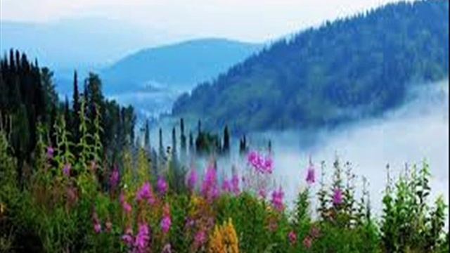 КАМЫШНИЦА (С.Молодцов - Д.Аникеев). исп.Д.Аникеев смотреть онлайн