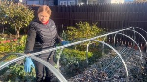 Ночные заморозки.