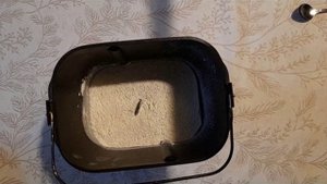Пеку хлеб.Ч.1. Закидываю продукты в ведерко хлебопечки. Пропорции в описании.