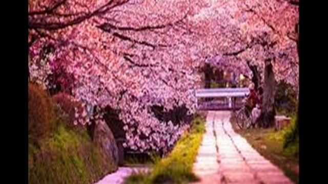 ВЕСЕННИЙ РОМАНС. исп. Д.Аникеев смотреть онлайн