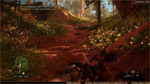 Far Cry 4: Primal. Миссия Тинсея №2: «Хозяин зверей» (Экстремальный уровень)