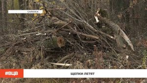 Щепки летят / В центре внимания – 6 (17.10.2025)