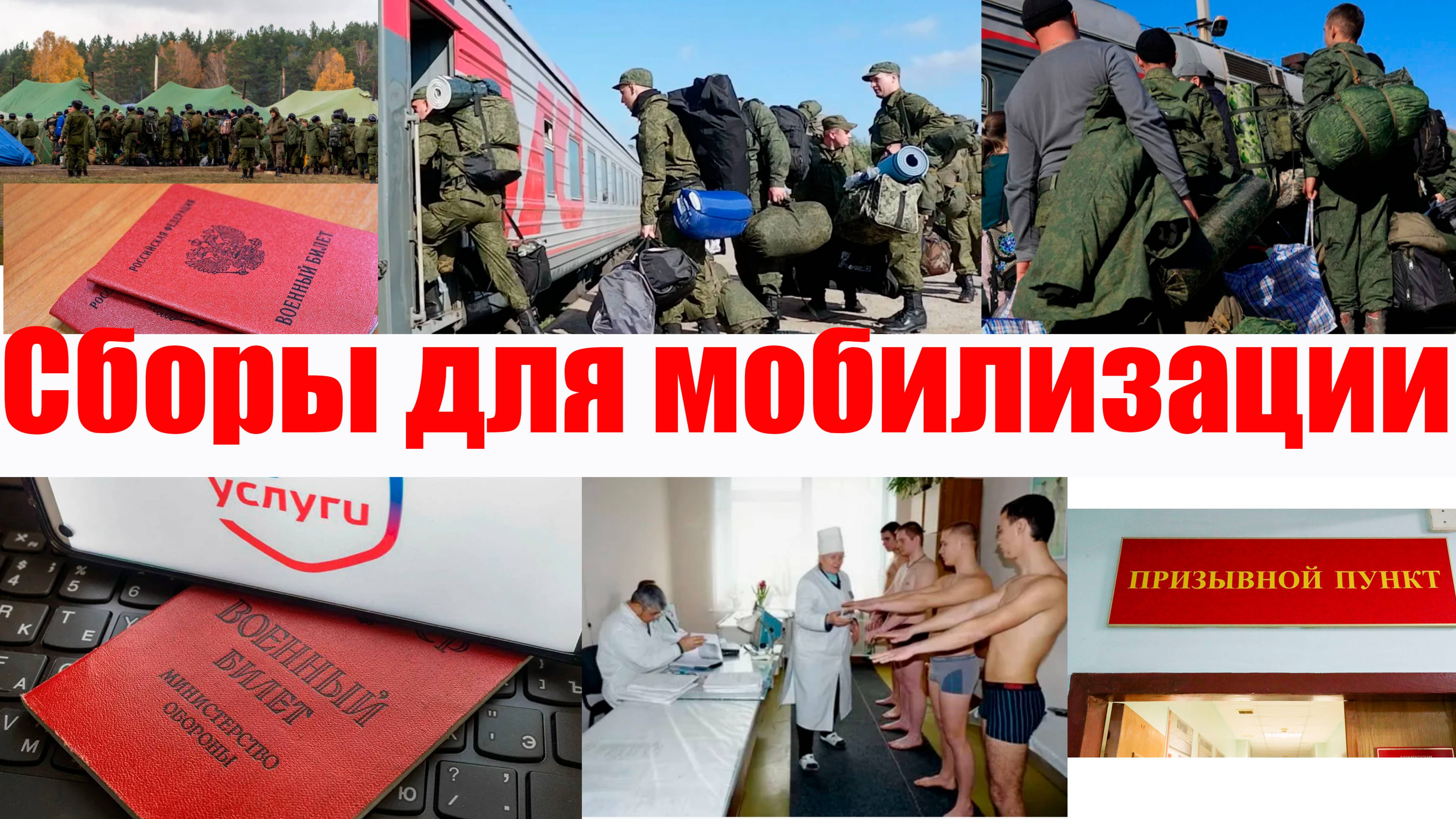 МОБИЛИЗАЦИОННЫЕ СБОРЫ. срок действия электронной повестки. смотреть онлайн