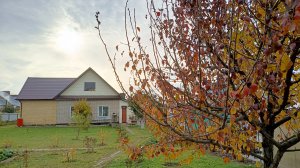 Осенние дела по саду продолжаются 🍁🏡 Убрали свалку из дров🪵Ну и птичка моя немного🪿🦆🐓🐔