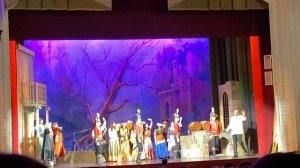 Цыганский барон