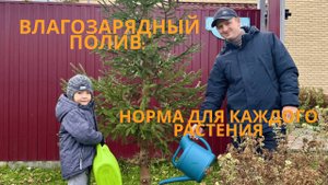 Влагозарядный полив когда, сколько и как поливать