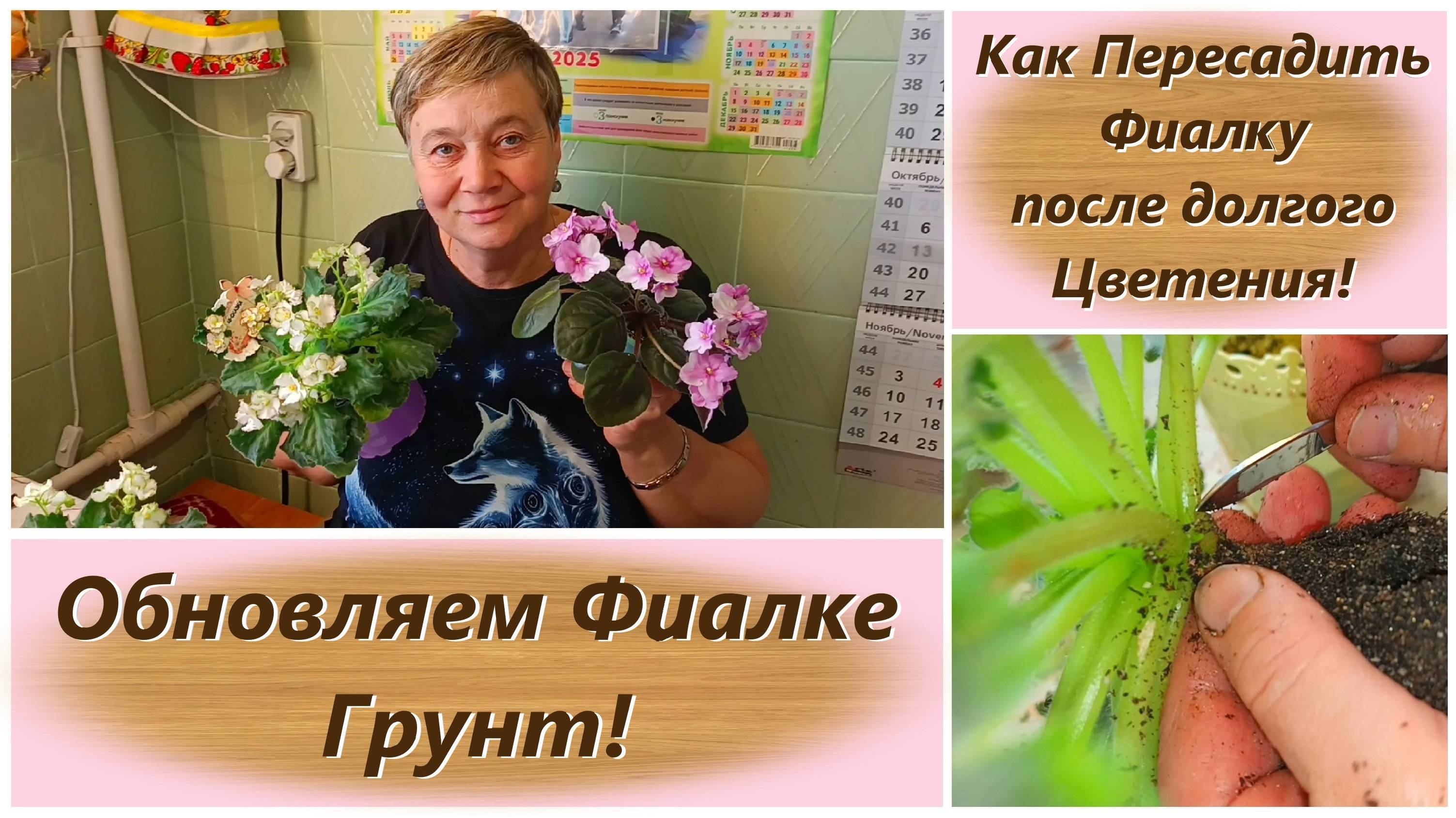 Как Пересадить Фиалку после долгого Цветения! Обновляем Фиалке Грунт!