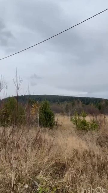 копылова 2 смотреть онлайн