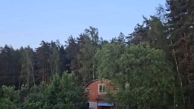 РОДНЯ ИЛИ ВРАГИ