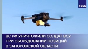ВС РФ уничтожили солдат ВСУ при оборудовании позиций в Запорожской области
