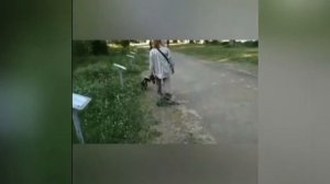 "До и После" обучения "Искусству общения с собакой"!