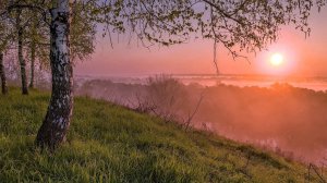 НА ДЕРЕВНЕ ТУМАН...