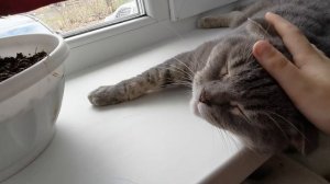 VID_20251018_143819.mp4