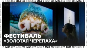 Международный фестиваль дикой природы "Золотая черепаха" стартовал в Москве - Москва 24