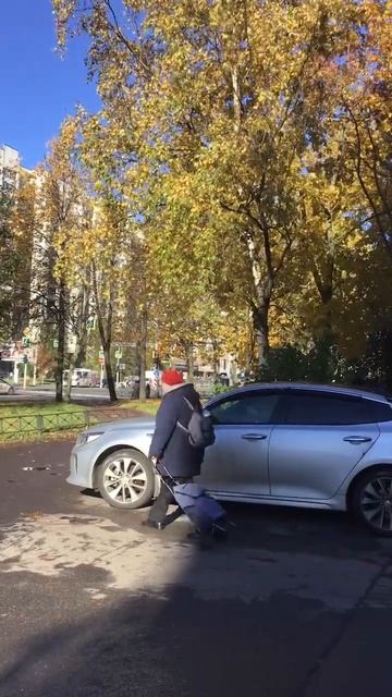 Санкт-Петербург. 17.10.2025. Приятный солнечный день. Золото осени на проспекте Энгельса. Эпизод 4