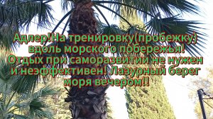Адлер!На тренировку вдоль морского побережья!Отдых при саморазвитии не нужен!Лазурный берег моря!