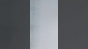 латяо и соевое мясо