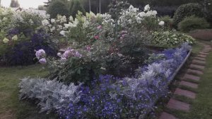 Летний день в голубом...14.08.25