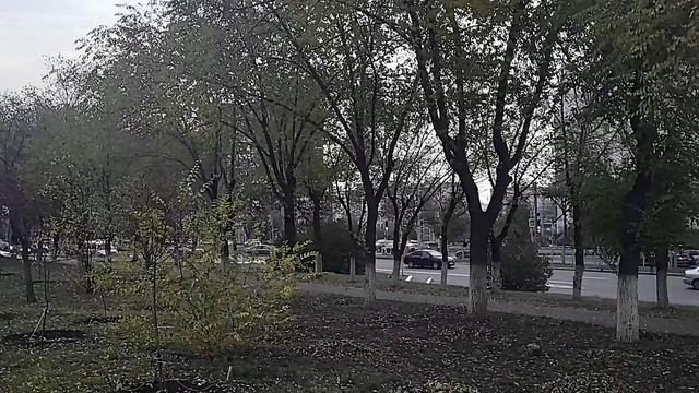 Оренбург ул Чкалова 16.10.25. Прогулка Видео Виктор Поживин