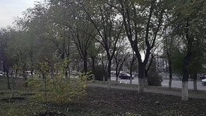 Оренбург ул Чкалова 16.10.25. Прогулка Видео Виктор Поживин