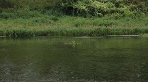 Парк "Кудыкина гора" глазами туриста