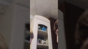 экстрим прятки