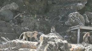 16. Бали. Меласти пляж.mp4