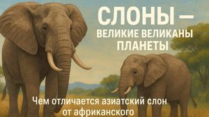 Слоны - великаны планеты