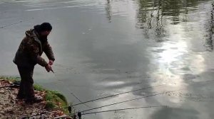 Блесна спартак