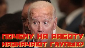 «Почему на работу назначают глупых? Принцип Дилберта — тайна офисного абсурда»