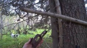 ДВА ДНЯ В ТАЙГЕ. РЫБАЛКА НА ТАЕЖНОЙ РЕКЕ. ОХОТА С ЛАЙКОЙ ПО ДИЧИ. НОЧЕВКА В ИЗБЕ.#рыбалка #хариус