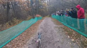 Грильяж хэппи дог 1,5 км 4-49