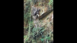 Аномалии природы и жизни. Это не возможно, но это происходит, сложно поверить