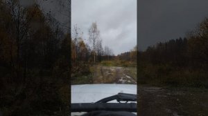 Рождествено (13.10.2025).mp4