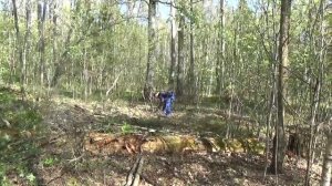 Сутки в Лесу - Отдых на Берегу Озера - Отдых на природе - Псковская область - Весна