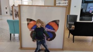 17 октября 2025 года дети бабочки в ТЦ Амбар