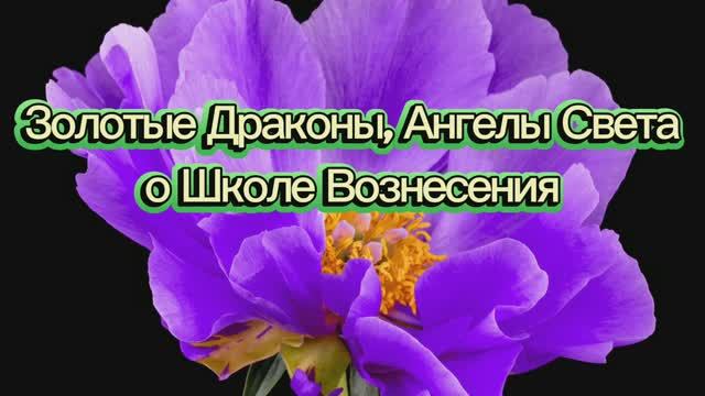 Золотые Драконы, Ангелы Света о Школе Вознесения 11.09.2025г (136 Послание)