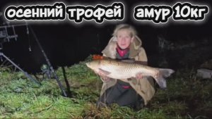 Осенний трофей, Бешеный клёв амура. Ловля амура осенью в октябре по холодной воде.