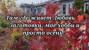 Заготовки, моё хобби и просто осень! /64