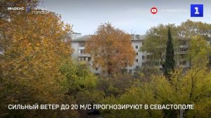 Сильный ветер до 20 м/с прогнозируют в Севастополе
