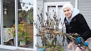 18 октября дача | вышли с мужем разгребать осенние завалы в саду