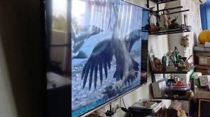 Чернобаева Л.П. моя Мама 18.10.2025г. смотрит ВВС.